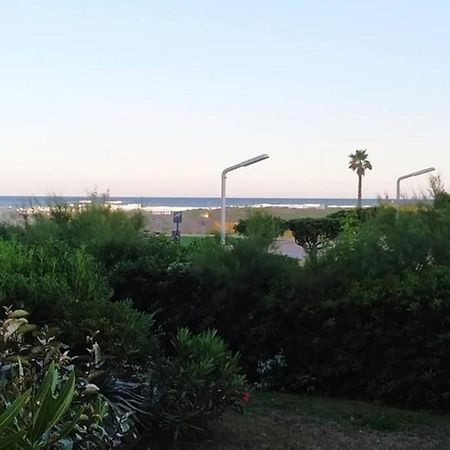 Studio Cabine Marche De Noel - Vue Mer Le Barcarès Екстериор снимка
